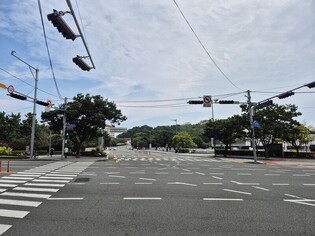 관광지에 난립한 정치 현수막 막는다…부산 청정 거리 확대