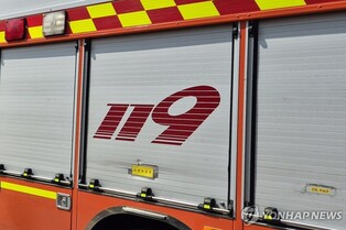 펜션 신발장서 뱀이 나와…추석연휴 제주서 사건사고 잇따라