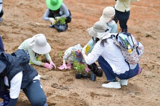 "꽃 심고 여행"…산불 피해 영덕군, 자원봉사 관광상품 운용