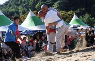 Wrestling monks