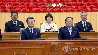 (LEAD) High-profile chief of N.K.'s abolished body appears to retain director title
