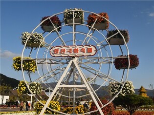 양산국화축제 24일 개막…6만5천여점 국화작품 즐긴다