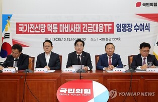 PPP sets up task force on gov't service outage after data center fire