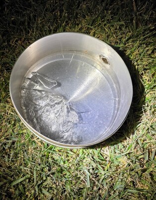 Season's 1st ice formation in Seoul