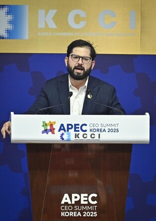 Chilean leader at APEC CEO Summit