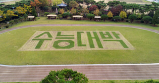 Activities ahead of college entrance exam