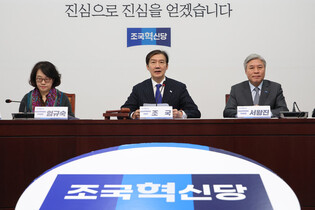 Minor party's interim leader