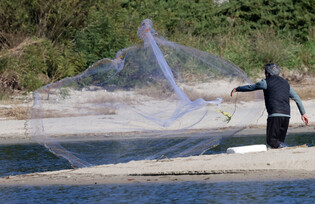 Casting fishing net to catch trout