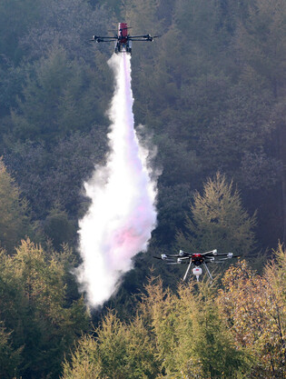 Lee inspects disaster drill against wildfires