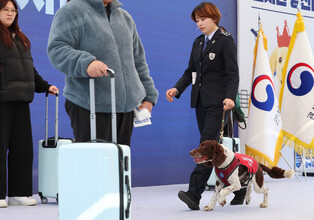 Sniffing skill competition