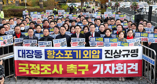 Protest over prosecution's lack of appeal in development case