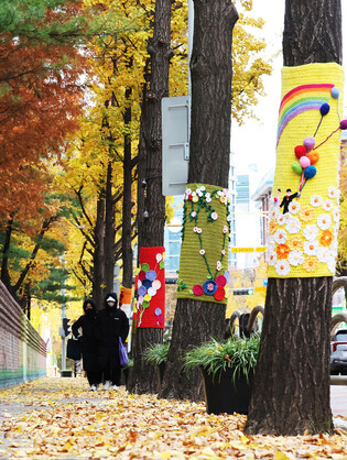 Trees prepared for winter