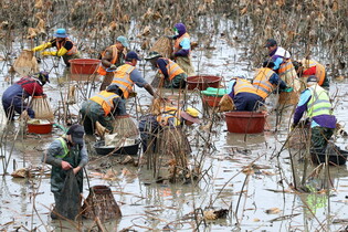 'Garaechigi' traditional fishing method