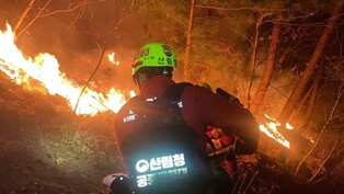 Wildfire in northeast S. Korea