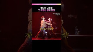 탱고모린 클로즈업으로 보기 💃🕺 #뮤지컬 #렌트 #탱고모린