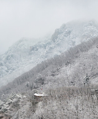 Snow-covered mountain