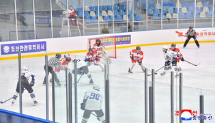 Friendly ice hockey