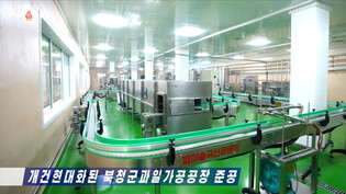 Fruit processing factory