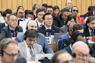 Oceans minister at IMO council meeting
