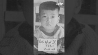 Korean overseas adoptee's search to find his birth family