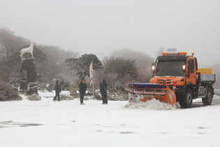 Heavy snow warning issued for Jeju