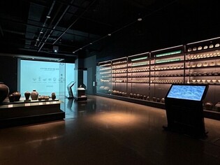 Treasures recovered from the sea spotlight underwater excavations