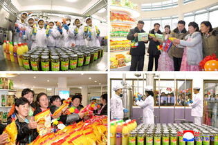 N. Korea's inauguration ceremony for regional factories