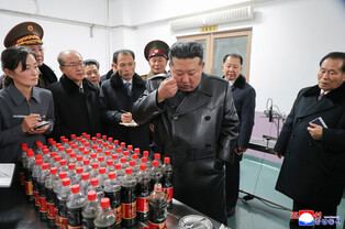 N. Korea's Kim attends opening for regional factories
