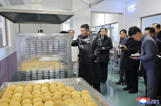 N. Korea's Kim attends opening for regional factories