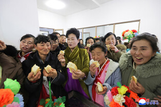 N. Korea's Kim attends opening for regional factories