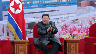 N. Korea's Kim attends opening for regional factories