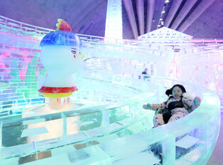 Riding sleigh on ice