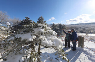 Wintry scenery of Mt. Halla