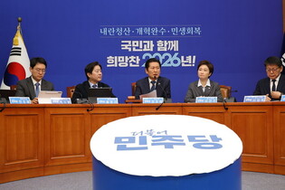 DP lawmaker quits party over bribery allegations