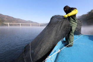 Fishing smelt on S. Korean lake