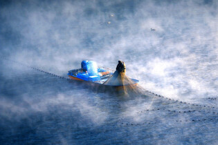 Fishing smelt on S. Korean lake