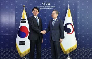 Foreign minister meets policy chief from Japan's ruling party