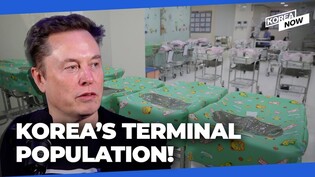 Musk gives warning on S. Korea's population crisis, says “N. Korea could just walk In"