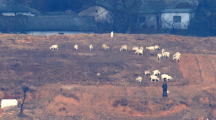 N. Korea from border observatory