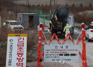 South Korea reports first African swine fever case in 2 months