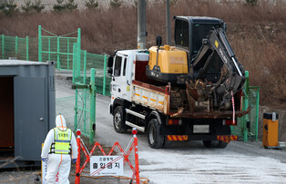 Outbreak of African swine fever
