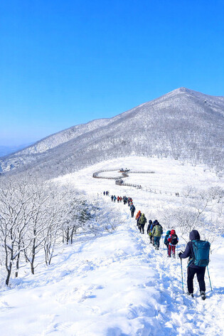 Winter trekking