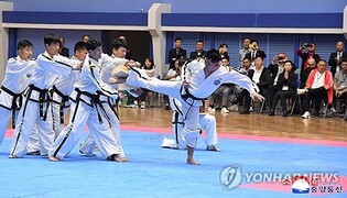 Taekwondo seeks joint inter-Korean UNESCO listing; application to be filed in March